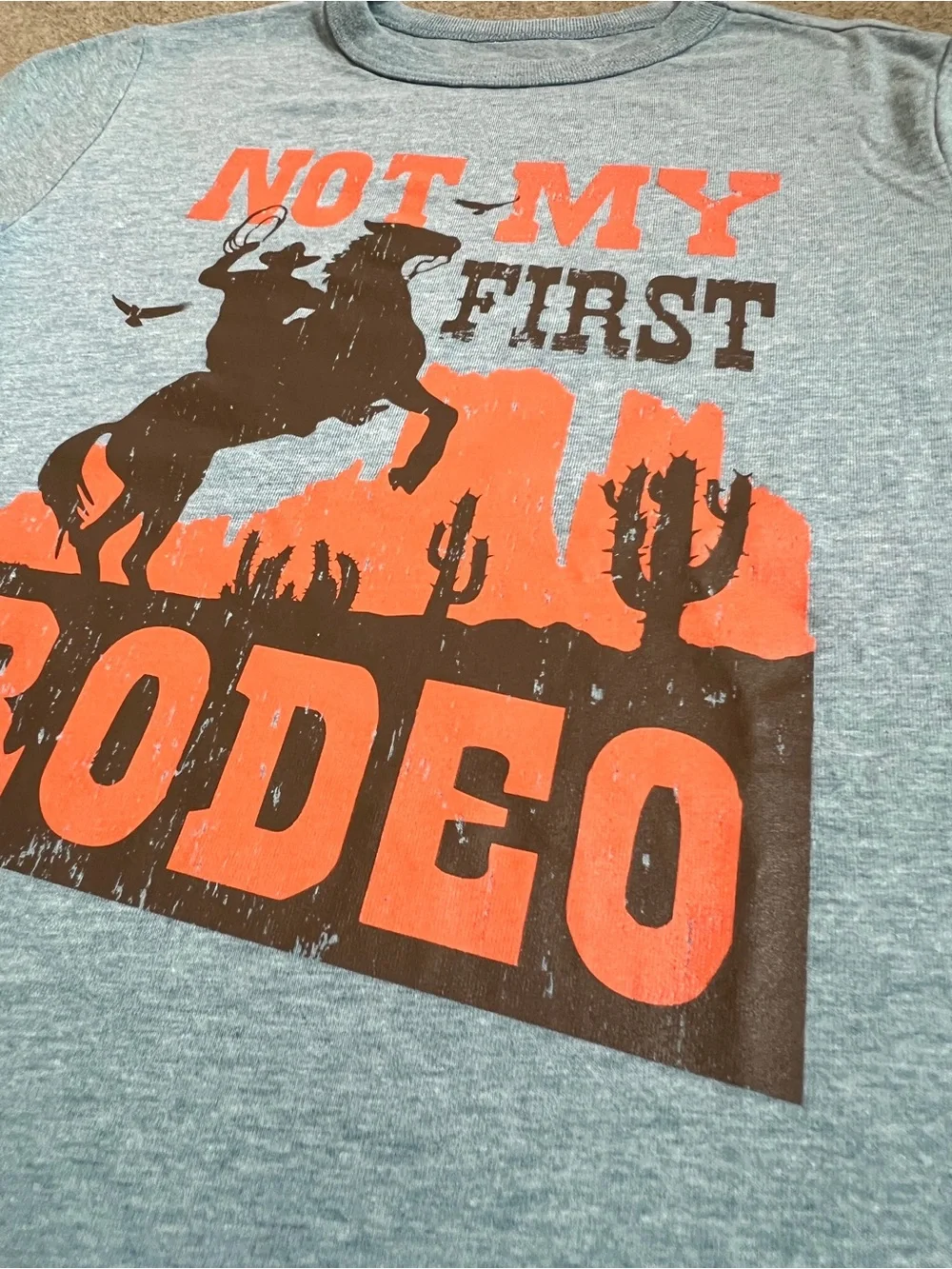 5/6🏜️ The Children’s Place Not My First Rodeo Cowboy Desert Western Graphic Tee